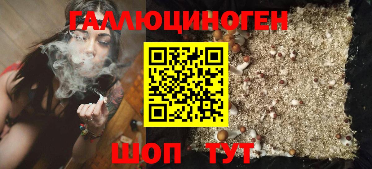 Псилоцибиновые грибы мицелий  Вход с VPN  Минеральные Воды  цена наркотик  Галлюциногенные грибы прущие грибы 
