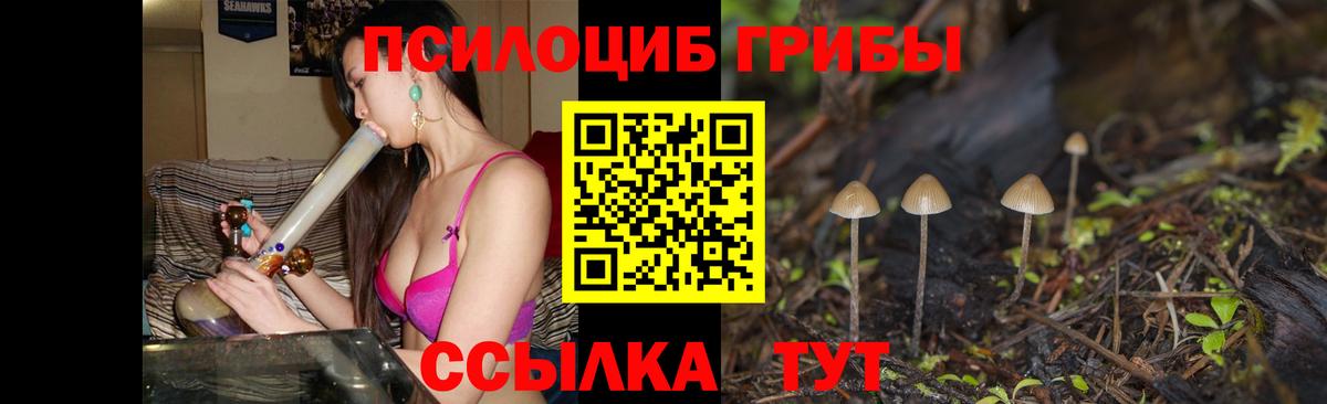 Галлюциногенные грибы MAGIC MUSHROOMS Минеральные Воды